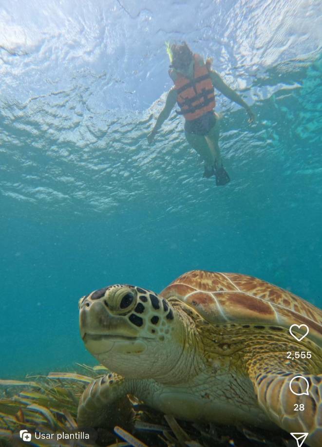 En un reel la actriz compartió además sus mejores capturas fotograficas realizadas durante su actividad de Esnórquel en las aguas marítimas de la isla de Honduras.