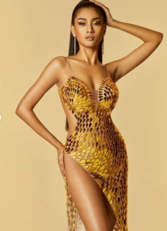 Adelantó que buscará pedir asilo en un tercer país ya que no está en sus planes regresar a su nación porque teme por su seguridad y la de su familia.