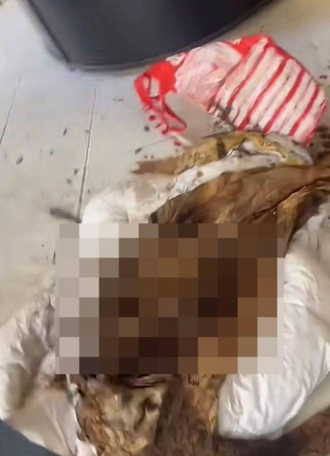 Ante la trágica muerte, ella pidió constantemente a las autoridades que analizaran el caso de su hija, pero no obtuvo respuestas contundentes.