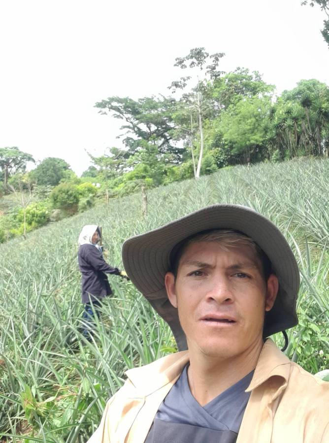 Francisco Martínez nos compartió fotografía en su trabajo como agricultor.