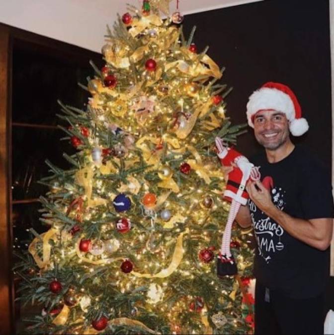 Chayanne, vestido con una gorra de Santa y un duende Elf en la mano, se mostró junto a un árbol de Navidad con el texto: 'Mi deseo para esta navidad es que en sus hogares reine la paz y armonía'.<br/><br/>'No olviden que los regalos más valiosos que podemos entregar, es nuestro cariño y compartir estas fiestas con nuestros seres queridos. ¡Feliz Navidad para todos!', agregó.