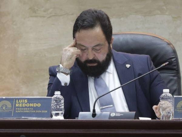 El presidente del Congreso Nacional, Luis Redondo.