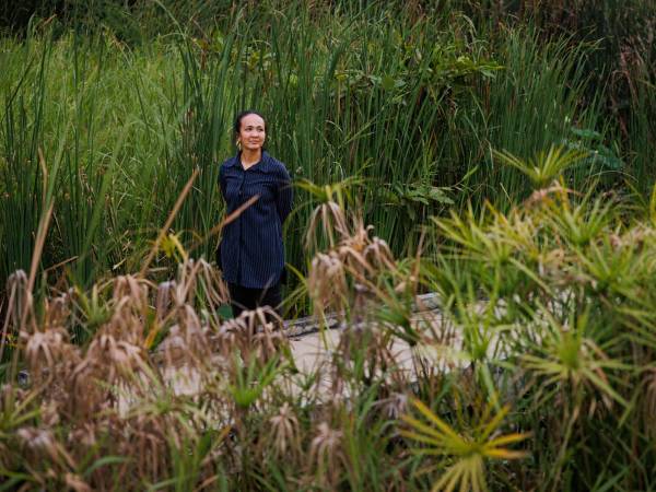“La naturaleza se autoequilibra”, dijo Chatchanin Sung, que ayudó a diseñar la ampliación del Parque Benjakitti.