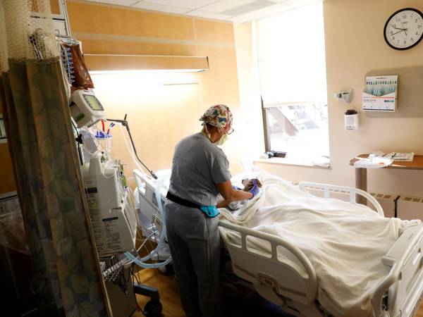 Costa Rica confirmó siete infecciones por gusano barrenador.