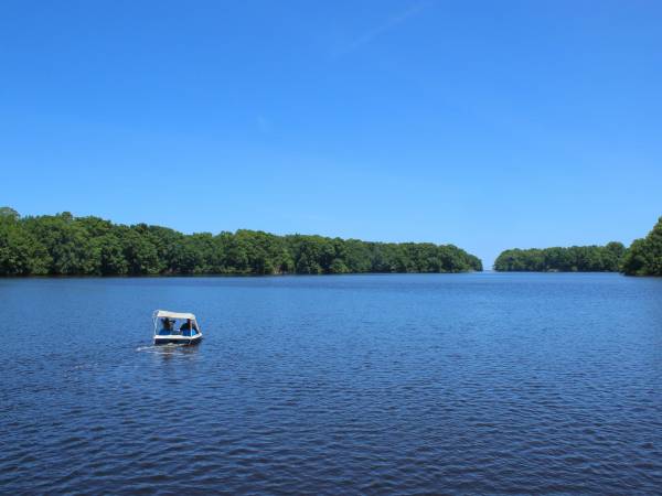 A pocos minutos de La Ceiba, la laguna de Cacao en Jutiapa ofrece un santuario de paz. Navegar por sus canales de manglares es una experiencia mística donde el avistamiento de monos y aves te conecta con lo más puro.