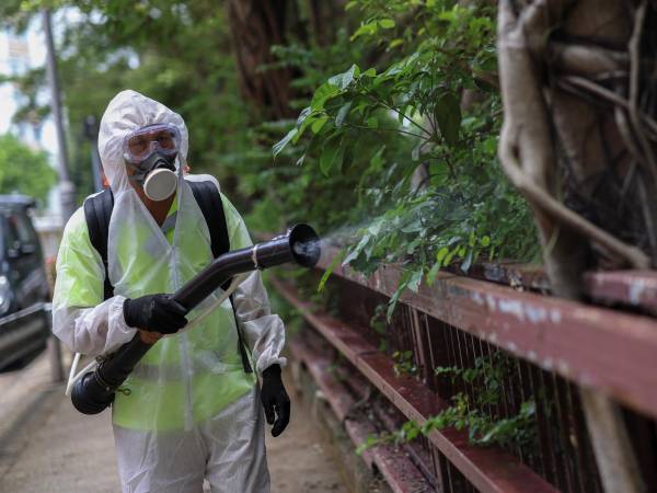 Un trabajador rocía insecticida tras reportes de casos de chikungunya en Hong Kong en julio. (Tyrone Siu/Reuters)