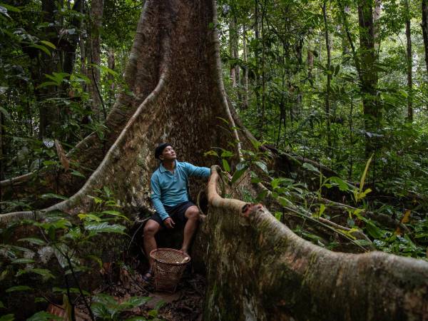 Andreas Ratius, un indígena dayak, afirmó que la filosofía de su comunidad era preservar la selva tropical. (Ulet IfansastI para The New York Times)