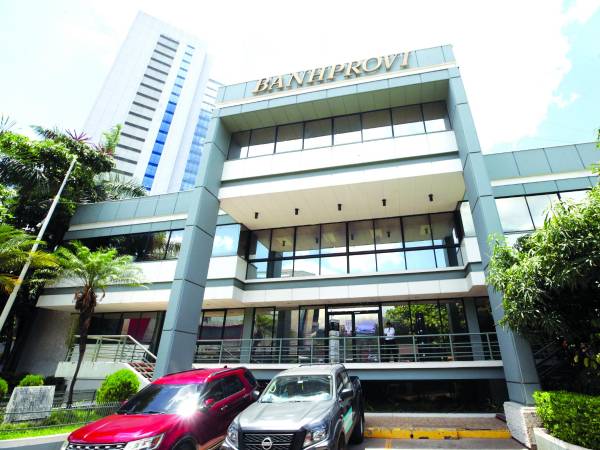 <b>Más del 70% de los fondos de Banhprovi son para construcción de vivienda.</b>