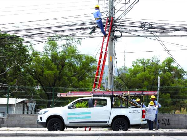 Trabajadores de la Enee realizan mantenimiento en líneas de distribución.