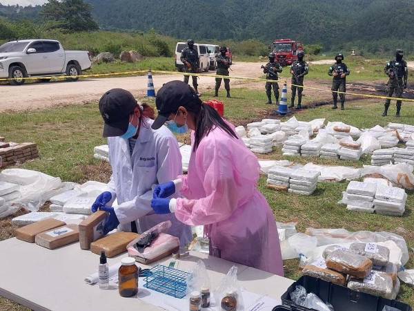 Las autoridades de Honduras destruyeron este viernes 500 kilos de cocaína incautados a mediados de julio en una operación en el Caribe del país, en la que fueron capturados tres colombianos, que actualmente se encuentran en prisión preventiva.
