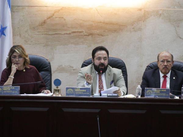 Luz Angélica Smith, Luis Redondo y Hugo Noé Pino, diputados actuales de Libre y miembros de la junta directivo.