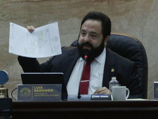 El presidente del Congreso Nacional, Luis Redondo, este martes en sesión ordinaria.