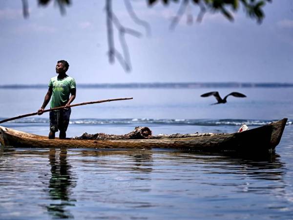 La Mosquitia hondureña es una región en donde confluyen tres áreas naturales protegidas: el Parque Nacional Patuca, la reserva de la biósfera de Río Plátano y la Reserva Tawahka Asagni.