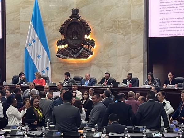 El subjefe de la bancada nacionalista, Nelson Márquez, manifestó que le ha pedido en reiteradas ocasiones a la junta directiva del Congreso Nacional que se discuta el presupuesto del CNE.