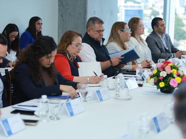 Representantes de distintas instituciones del Estado participaron en la primera sesión del Sigadenag.