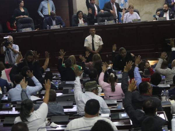 Los diputados de la bancada de Libre votaron a favor.