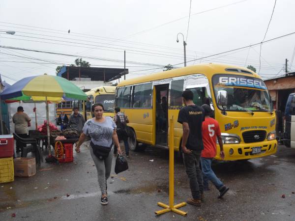 Solo en San Pedro Sula, unos 800 transportistas reciben el subsidio, siendo la ciudad con más beneficiados.
