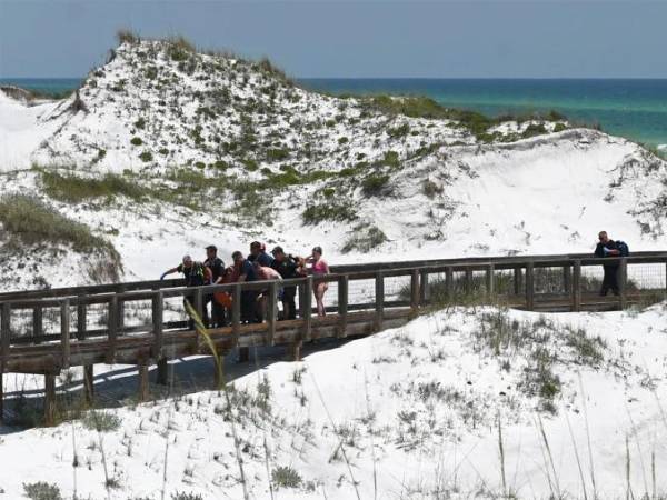 Dos personas sufrieron amputaciones tras ser atacadas por tiburones en Florida.