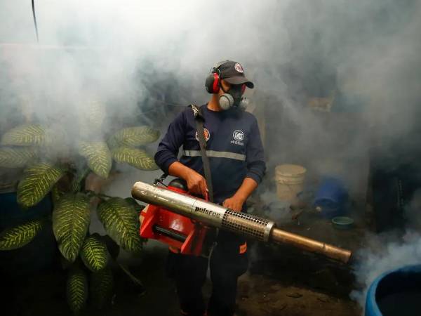 El virus del Oropouche se transmite a través de la picadura de un insecto conocido como “jején” y del mosquito Culex.
