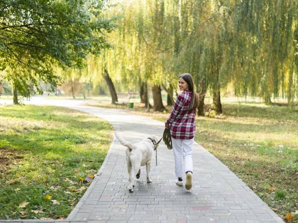 Actívese: La Organización Mundial de la Salud (OMS) recomienda caminar al menos 30 minutos diarios. Salir con su mascota puede ser una opción divertida.