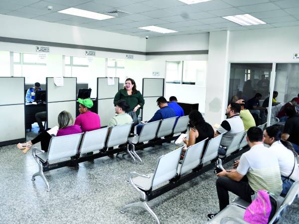 <b>Conductores esperan su turno de pasar a la toma de fotografía. Foto: Héctor Edú.</b>