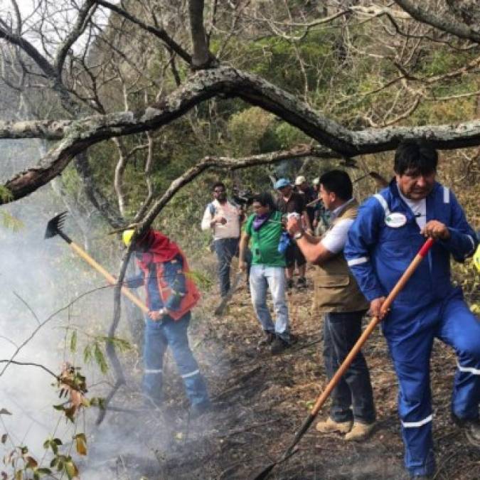 Con pala y manguera en mano, el mandatario, vestido con un traje azul, llegó ayer a la Chiquitanía, región devastada por los incendios en el departamento de Santa Cruz.