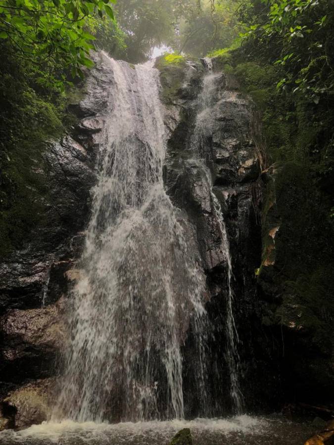 Fuente de agua dentro de áreas compradas en la Reserva Biológica Volcán Pacayita.