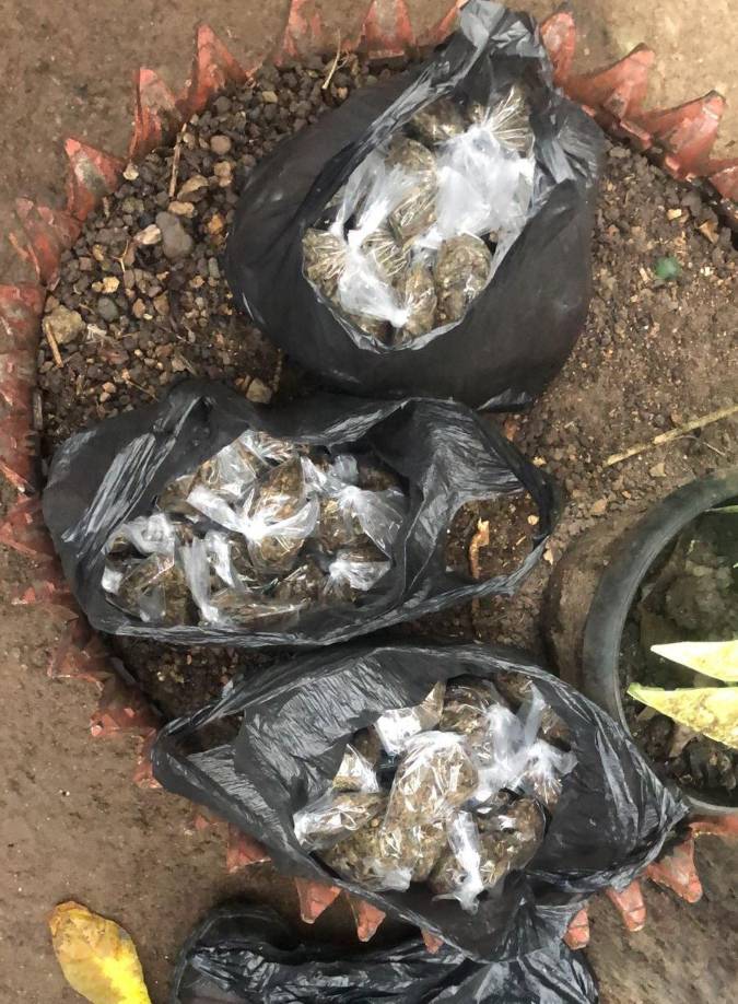 Además se incautó 498 puntas de la misma sustancia (cocaína), así como 125 bolsitas con presunta marihuana.