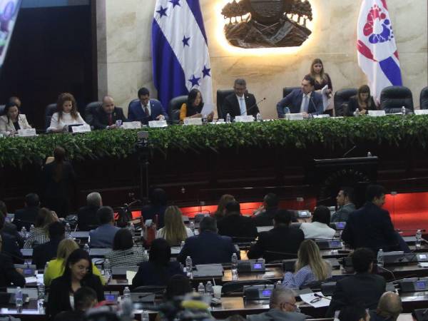El pleno legislativo podría agendar la discusión final de la reforma eléctrica en los próximos días.