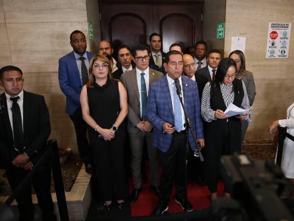 Comisión Especial del Congreso Nacional, encargada de la selección de los nuevos titulares y suplentes del Consejo Nacional Electoral (CNE) y el Tribunal de Justicia Electoral (TJE).