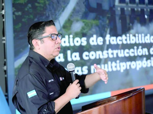 <b>Erick Tejada, ministro de Energía, exponiendo los avances de los estudios.</b>