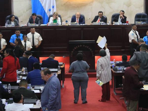 Luego de casi dos meses de inactividad, los diputados hondureños volvieron a sesiones legislativas, pero no de la mejor manera.