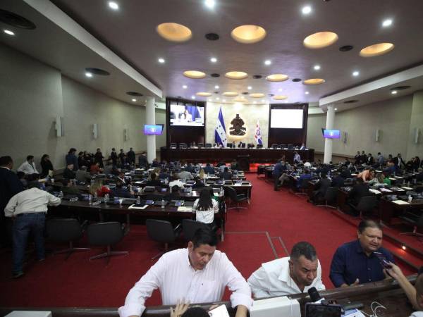 Sesión ordinaria en el Congreso Nacional.