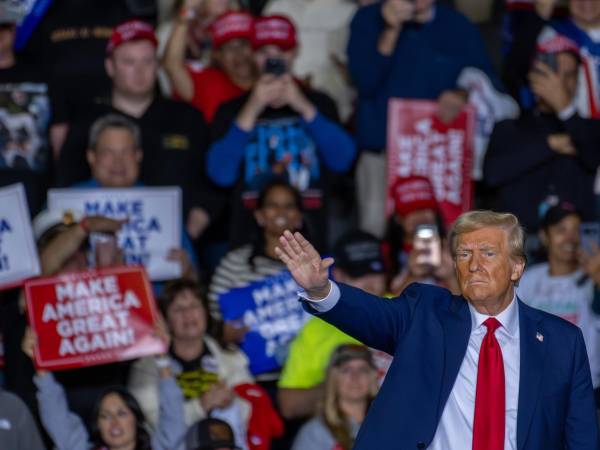 Carlos Pereira, líder hondureño radicado en Miami, Florida considera que antes que Donald Trump asuma hondureños deben buscar regularizar su estatus. Pereira Trejo es hondureño, republicano, conoce a Donald Trump y ha trabajado con él. Lo describe como un hombre exigente y demandante, pero que sabe reconocer el trabajo y los talentos de la gente que es parte de su equipo.