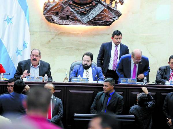 <b>El proyecto de reforma contempla modificaciones a los artículos constitucionales 303, 313 y 316 de la Carta Magna, por lo que deberá ser aprobado por 86 votos.</b>