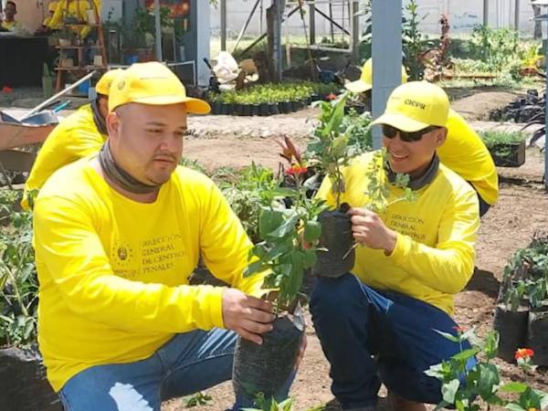 El presidente de El Salvador, Nayib Bukele, negó que el migrante Kilmar Ábrego, quien fue deportado ilegalmente a su país por parte de la Administración de Donald Trump, haya sufrido torturas en una megaprisión salvadoreña.