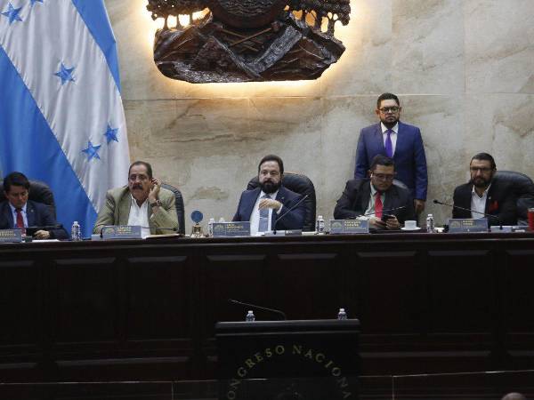 Sesión de l Congreso Nacional de este miércoles 17 de abril de 2024.