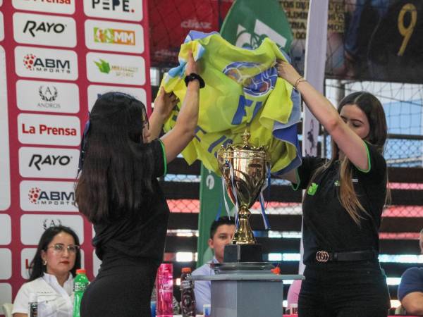 Los partidos se llevarán a cabo los domingos de noviembre y diciembre en las canchas de Sportmanía.