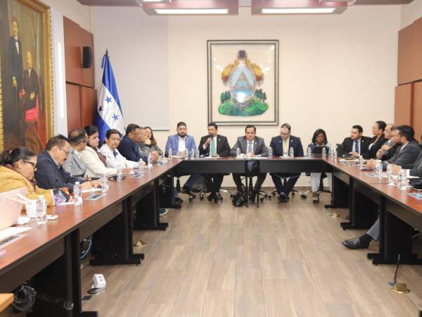 La Comisión de Salud del Congreso Nacional.