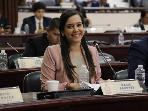 Sandres fue elegida por primera vez como diputada en las elecciones generales de noviembre 2025.
