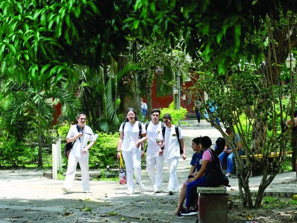 <b>La carrera de Medicina mantuvo los 200 cupos por año en Unah Cortés.</b>