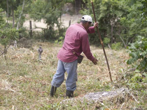 Fotografía de archivo en la que se captó a un campesino al recorrer su terreno cultivable durante una temporada de sequía en Las Delicias (Honduras).