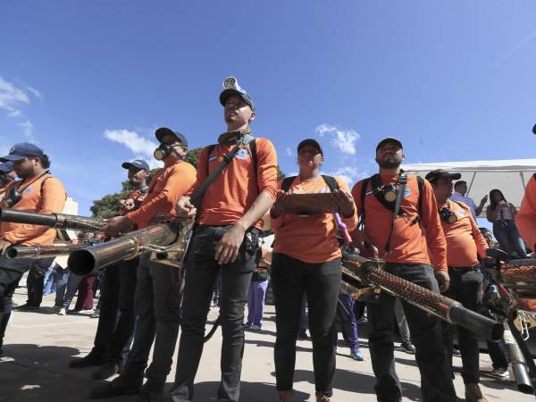 Empleados de la Secretaría de Estado en los Despachos de Gestión de Riesgos y Contingencias Nacionales de Honduras (COPECO), participan en la campaña contra el dengue este viernes en Tegucigalpa.