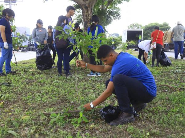 <b>Sembrando Esperanza</b> de <b>LA PRENSA</b> inició este día con una jornada de limpieza sobre el <b>bulevar</b> y las orillas de la <b>33 calle</b>. La Municipalidad de San Pedro Sula también se unió a esta gran actividad.