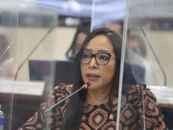 La diputada nacionalista Lissi Matute Cano.