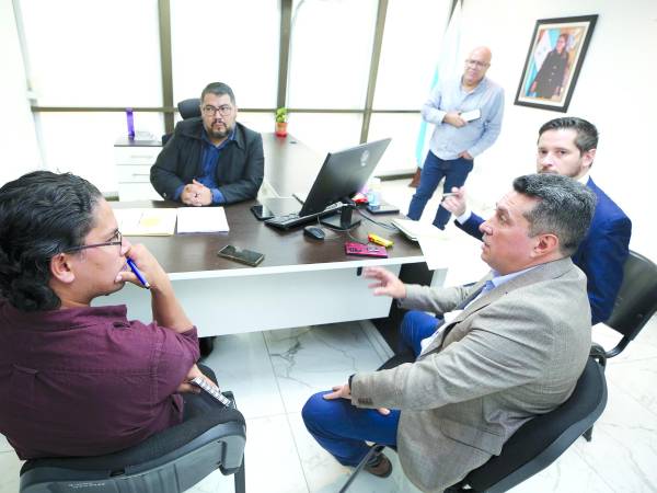 <b>En la reunión estuvieron Samuel Zelaya y Marco Destephen, comisionados del IHSS, además se contó con la participación del doctor Ricardo Reyes, asesor médico de la interventora.</b>