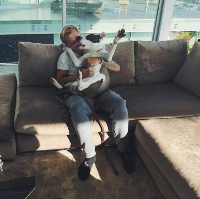 Bono- Avicii tenía un perro llamado Liam, protagonista de varias de sus publicaciones en las redes sociales.<br/>