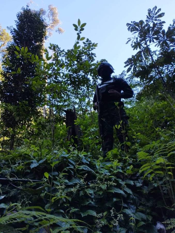 Un miembro del ejército en la zona montañosa de La Masica.