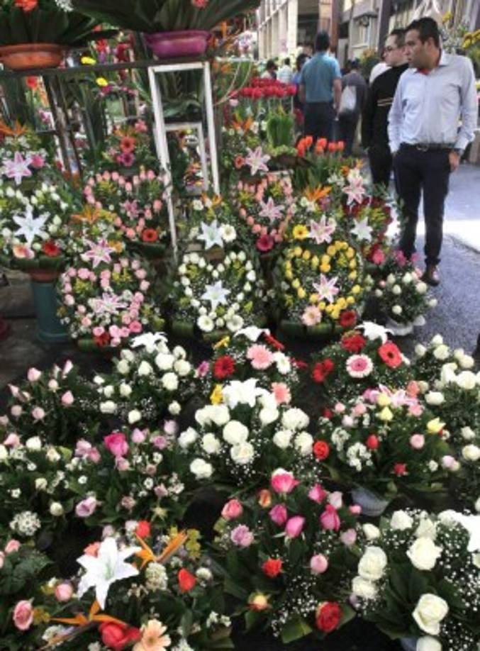 Poco más de los mil doscientos millones de rosas que se produce anualmente se comerciarán estos días y los consumidores nacionales e internacionales agotarán la producción de unas 22 mil hectáreas de flores que se siembran cada año en México, datos pronunciados por el secretario de agricultura de México, José Calzada.