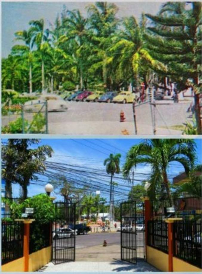 En La Ceiba además se halla el museo más grande de Honduras en el Campus UNAH-CURLA. Hay una gran colección de insectos elaborada por académicos del campo biológico.<br/><br/>Posee más de 11.000 ejemplares que incluyen 2200 tipos de mariposas hondureñas, 2400 insectos exóticos,alacranes, tarántulas, ciempiés, milpiés, escarabajos y el Alacrán Emperador de África (el alacrán más grande del mundo).